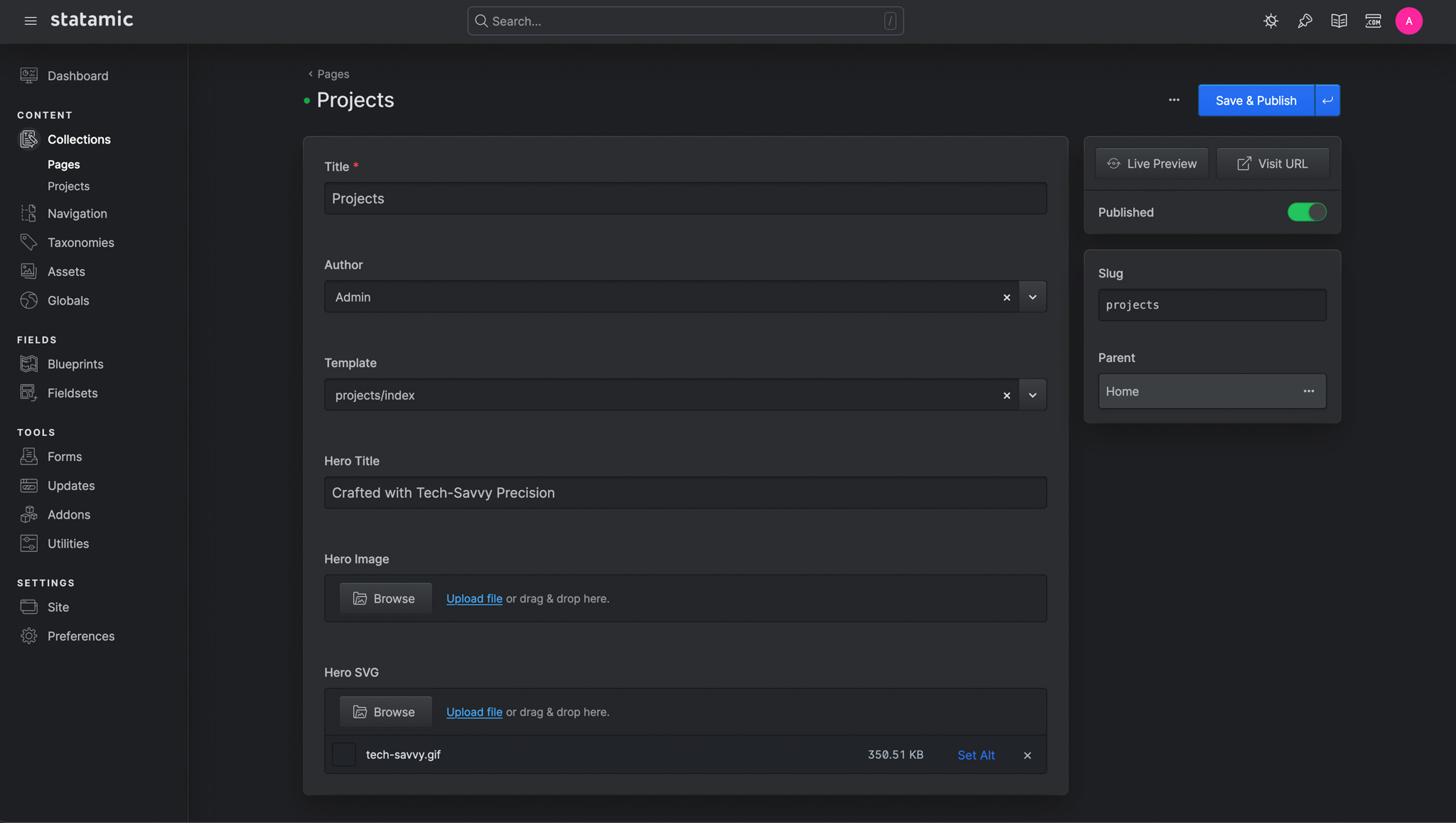 Screenshot of data for the projects page